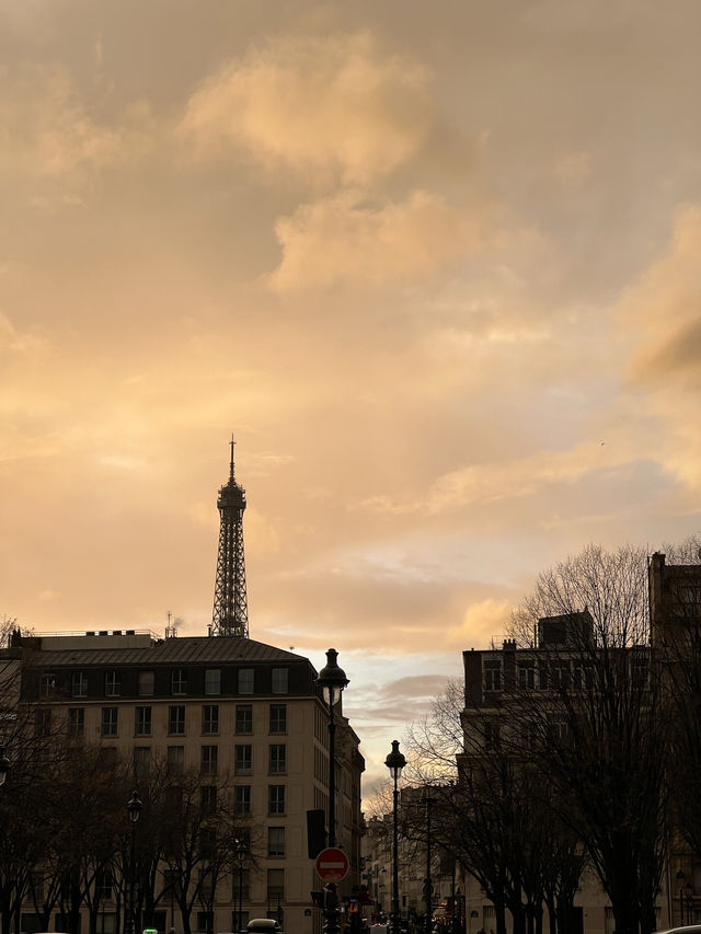 🇫🇷파리 에펠탑이 보이는 invalides 정원