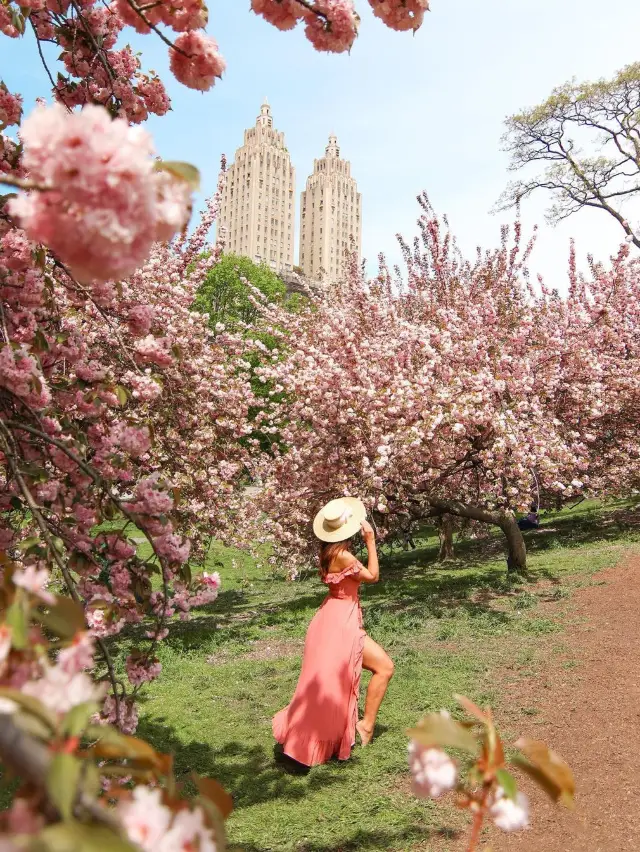 Central Park, New York