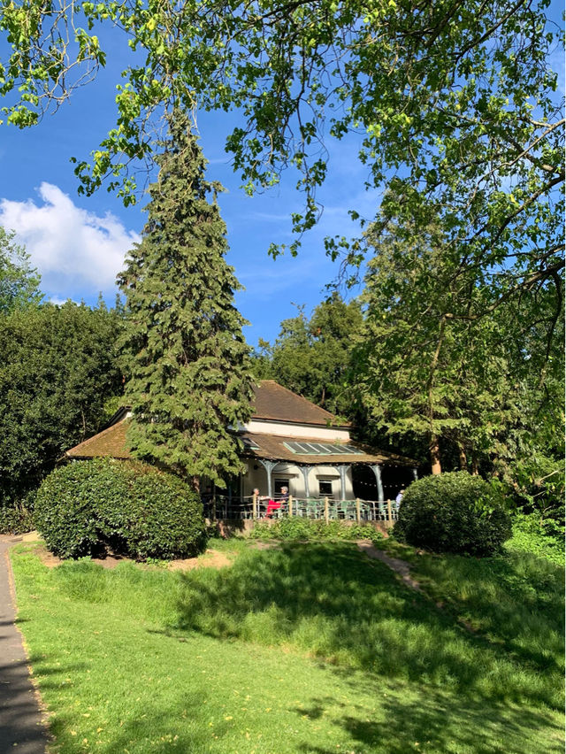 🇬🇧런던 리치몬드파크에 가면 무조건 들려야할 카페🏡