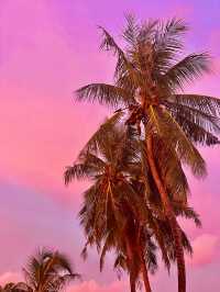 📍Maafushi, Maldives 🇲🇻 