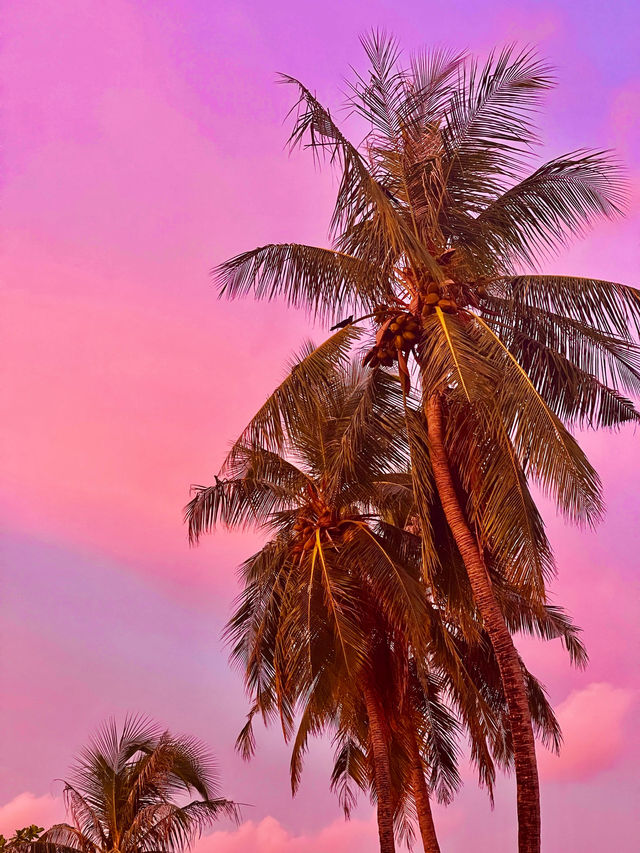 📍Maafushi, Maldives 🇲🇻 
