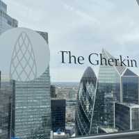 City in Bloom: London Views from Sky Garden’s Oasis