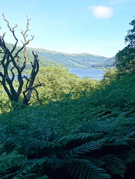 Cycling & Hiking Adventure Through the Trossachs: From Crianlarich to Glasgow