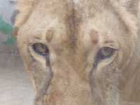 Must-visit places in Anshan Zoo