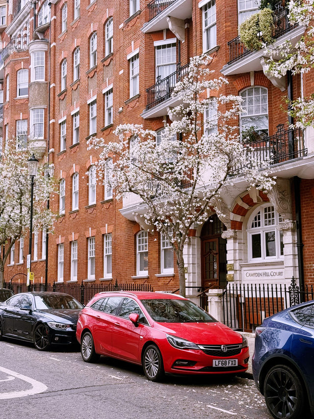🌸 London’s Cherry Blossom Magic – Best Spring Viewing Spots!
