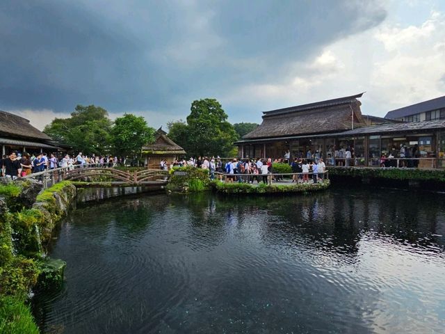 Fujikawaguchiko: A Peaceful Escape at the Foot of Mt. Fuji
