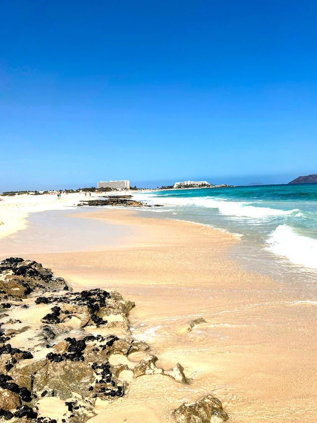The beautiful beaches of Corralejo Fuerteventura 🇪🇸