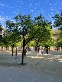 세비야 가볼만한 곳: 세비야 대성당