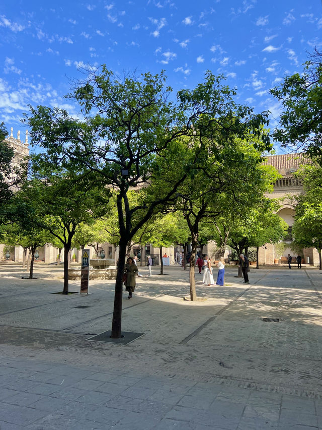 세비야 가볼만한 곳: 세비야 대성당