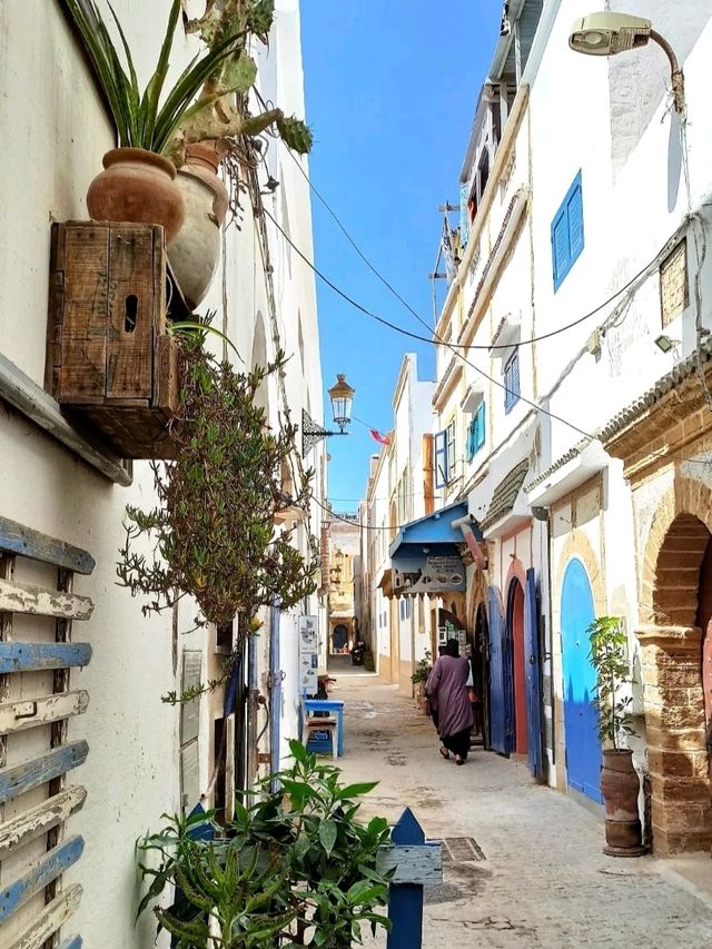 Coastal charm and artistic soul in Essaouira