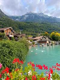 Wooden Charm & Alpine Dreams