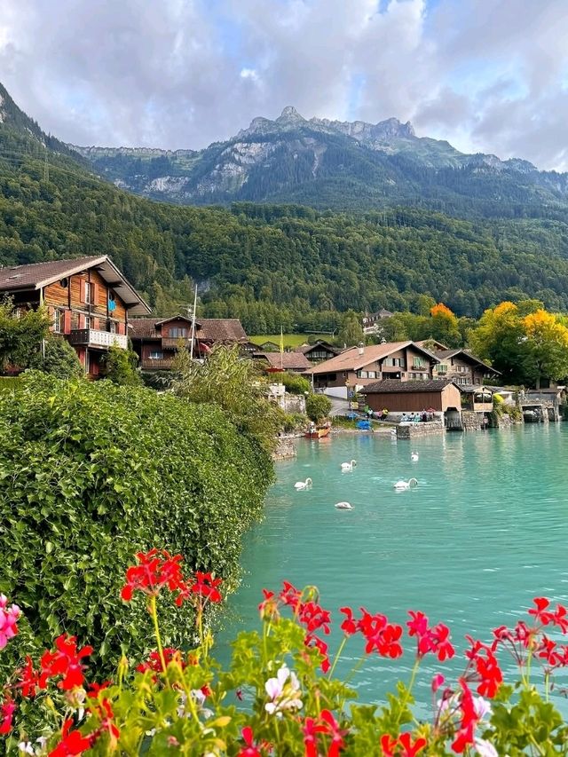 Wooden Charm & Alpine Dreams