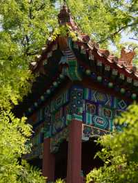Treasures in Beijing