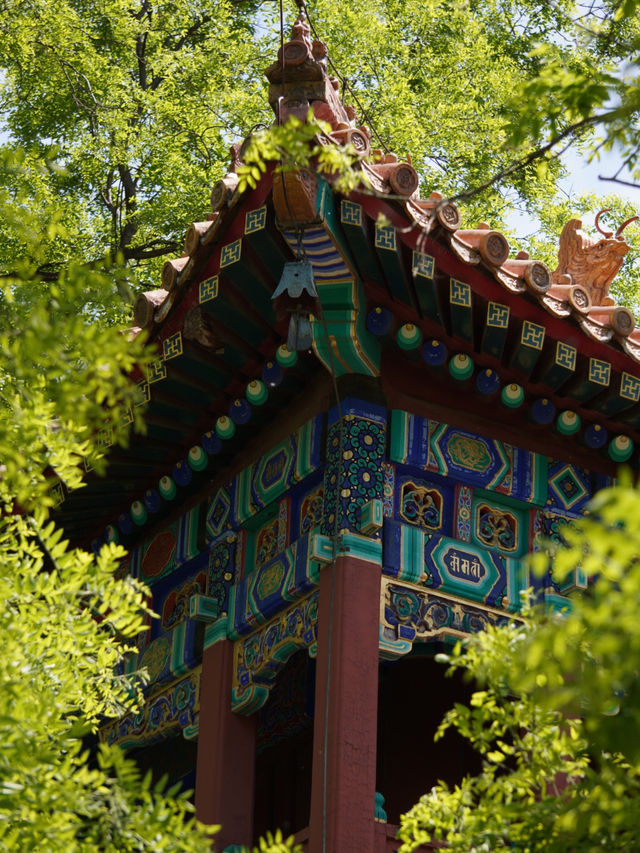 Treasures in Beijing