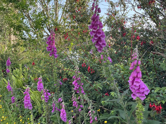Hidden gems in Cambridge