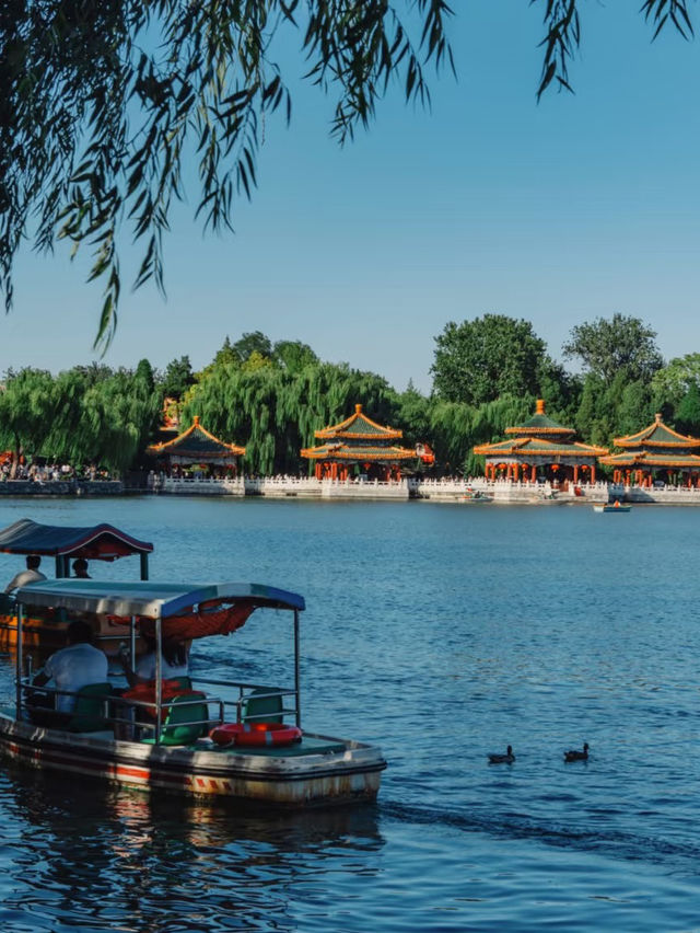 Lotus, Pagodas, and a Whisper of Imperial China — A Day in Beihai Park