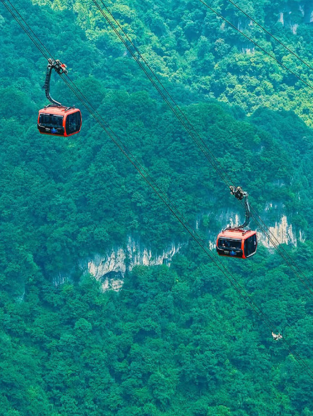 Floating Mountains and Hidden Paths: A Day in Zhangjiajie