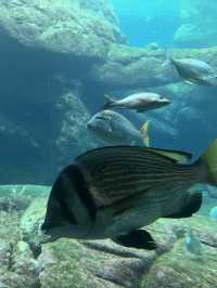 Durban Day Trip Itinerary