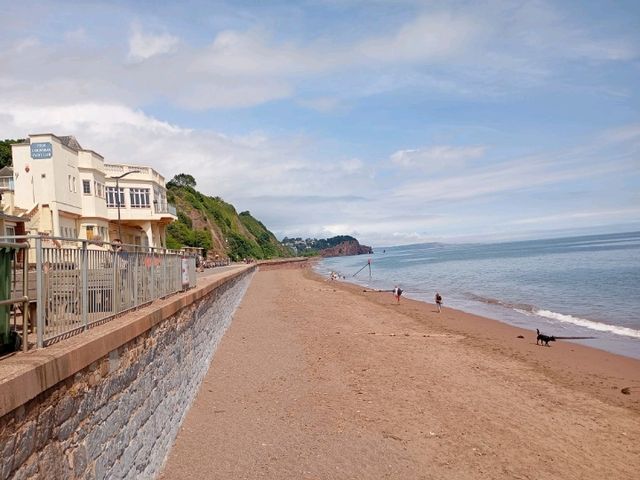 Highlights of my recent visit to Dawlish 