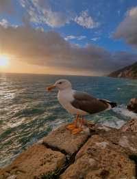 Discovering Portovenere: A Hidden Gem on the Italian Riviera