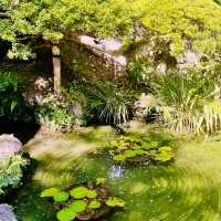 Discover Tokyo’s Green Escape: Parks & Hidden Nature