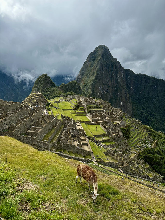 Machu Picchu - Wonder of the World 