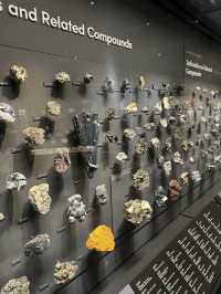 Exploring New York City: American Museum of Natural History & Times Square