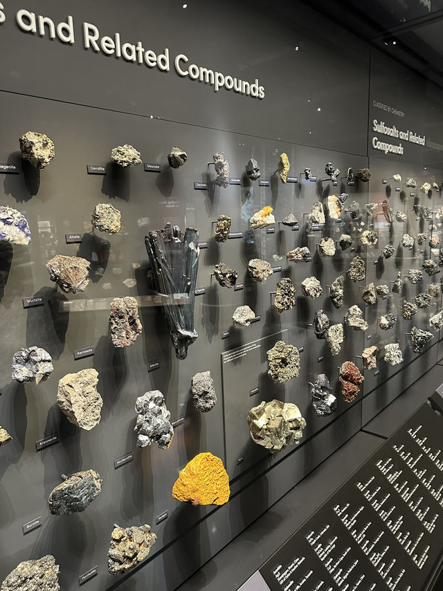 Exploring New York City: American Museum of Natural History & Times Square