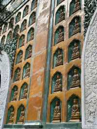 Best view of summer palace 