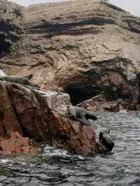 The Ballestas Islands.