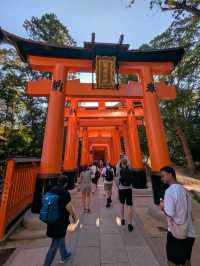 1000 Torii Gate Magic🛤️