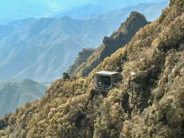Autumn Majesty at Mount Wutai 🍂🏔️