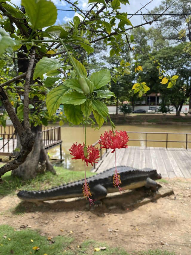 Сиемреап, Камбоджа.