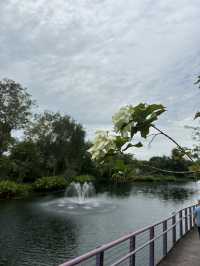 💮 🌿✨ Gardens by the Bay -Daytime