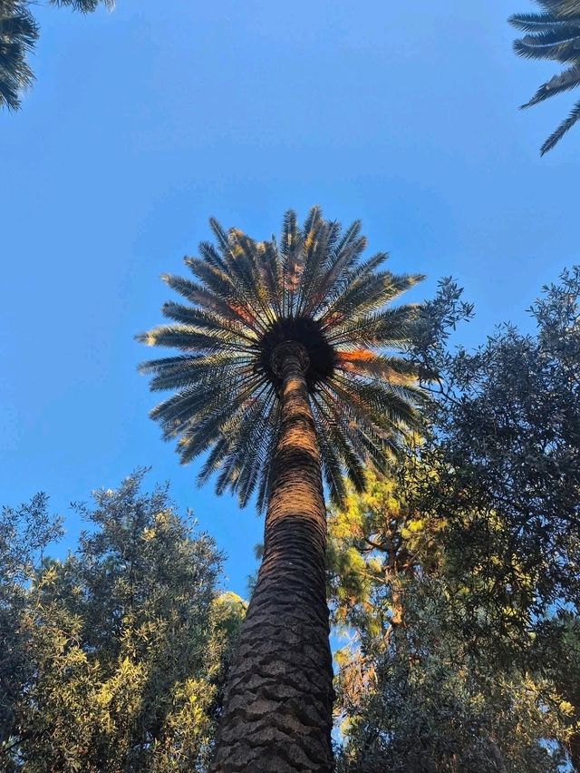 Cloudy Streets Vibes☁️