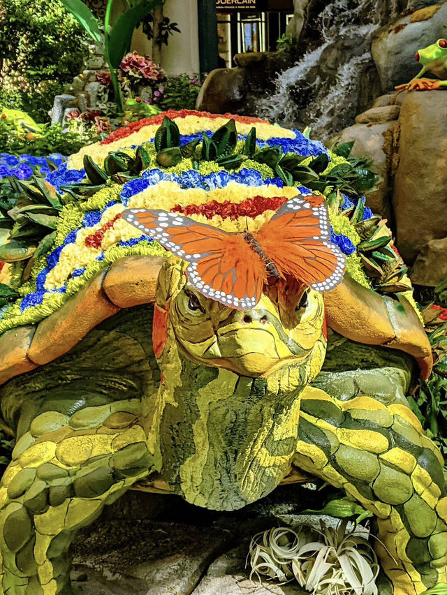 A journey through color, scent, and scale. 🌸👣✨ 