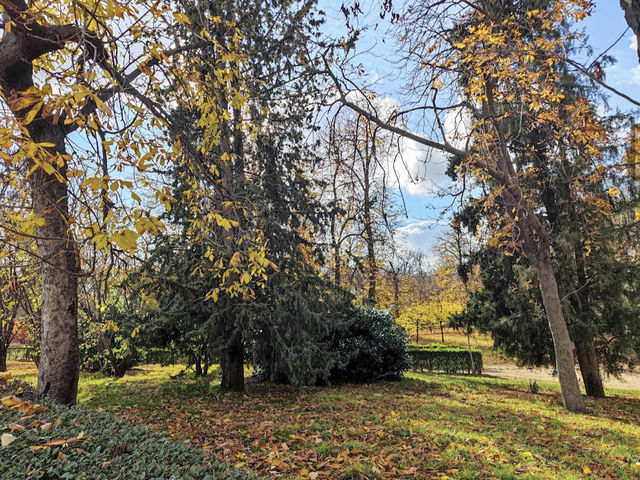 El Retiro Park Parque de El Retiro