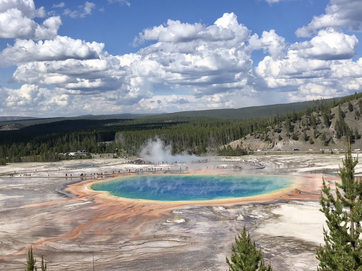 A Must-Visit in This Lifetime ~~ Yellowstone National Park, USA: Witness Nature's "No-Filter Needed" Miracles!