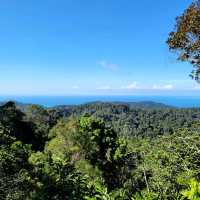 A Forest Adventure: The Habitat at Penang Hill 🌳🐦🌺
