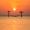 verdante_0825