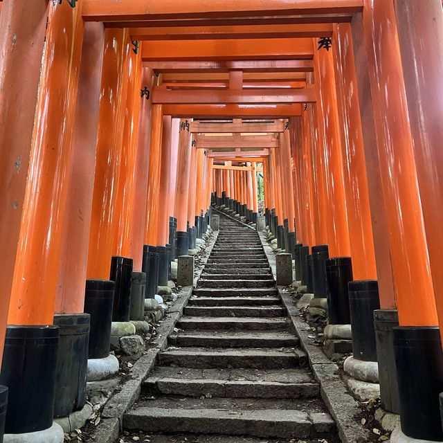 Hike through a thousand inscribed gates 😍