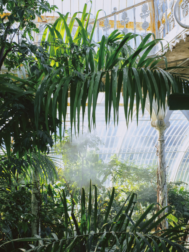 Kew Gardens 🌿 UK's Stunning Gem