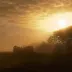 nataliesunset
