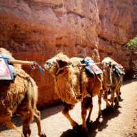24 hours in Zhangye 🌈⛰️