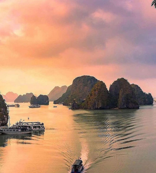 Let the wind guide your sails as you explore the stunning coastlines of Vietnam!🌊🌴