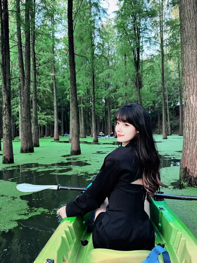 항저우 청산호수 수상 숲에 녹색 필드의 마법사가 침투했습니다