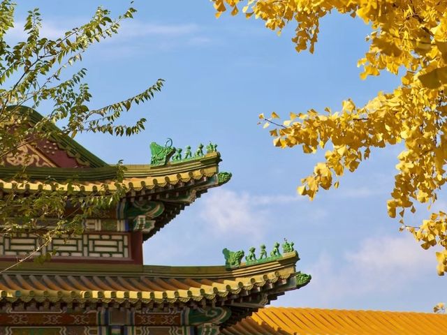 接下來的北京，是老舍筆下的北平之秋