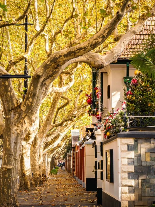 人生建議:12月逛完這些小馬路再離開上海! 人生建議:12月逛完這些小馬路再離開上海!