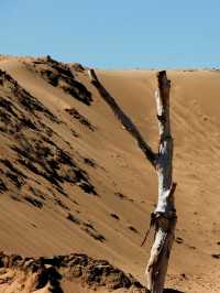 天漠自然風景區 | 不去內蒙甘肅也能體驗大漠孤煙直