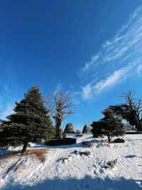 韓國滑雪推薦——龍平度假村